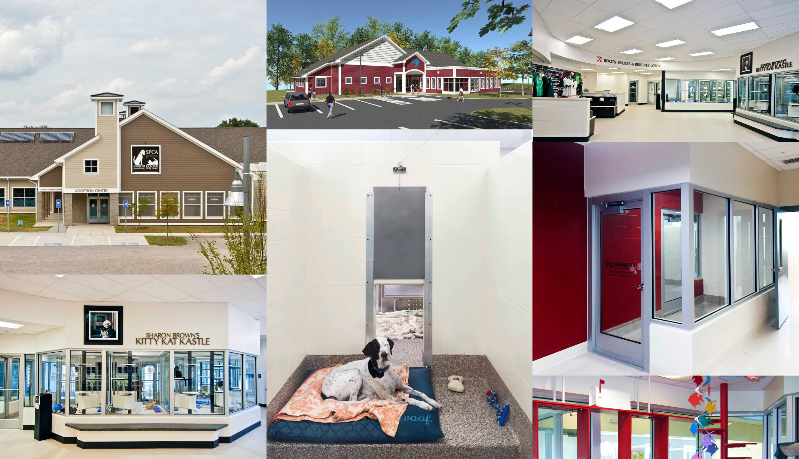 various animal care projects by blue sky architects